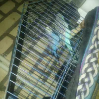 مرغ عشق و کوتوله