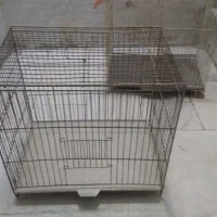 قفس