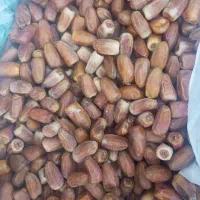 خرما کیلویی 70