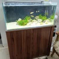 آکواریوم ریملس