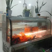 یخچال میز صندلی کبابی