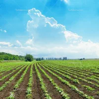 دعوت به همکاری در حوزه کشاورزی
