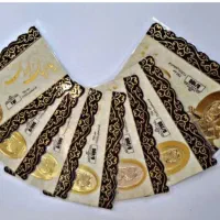 سکه پارسیان