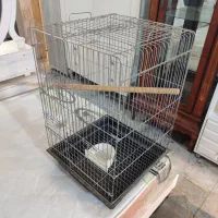 قفس بزرگ کاسکو،شاه طوطی،ملنگو،عروس هلندی گرینچیک