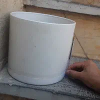 گلدان|گل و گیاه طبیعی|مشهد, کوی المهدی|دیوار