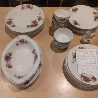 ظروف چینی  گل سرخی