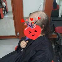 پروتزمو مایکروسیلندر،ماکروسیلندر