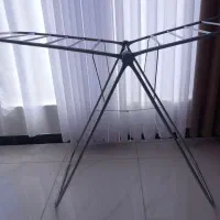بندرخت
