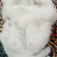 الیاف