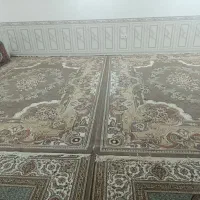 فرش|فرش|درمیان, |دیوار