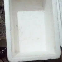 یخچال ماهی