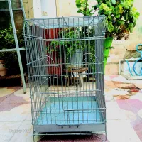 قفس پرنده نو