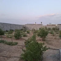 فروش-باغ-716-متری