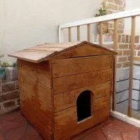 لونه چوبی گربه یا سگ کوچیک