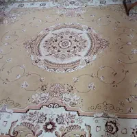 فرش کرمی تمیز