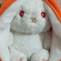 تعدادی عروسک برای ولنتاین