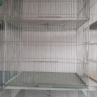 قفس پرنده
