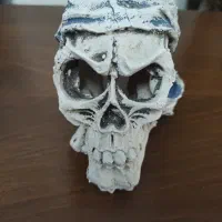 کله اسکلت