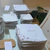 سرویس ظرف ۴۸ پارچه و۴عدد ظرف پخت و سرو