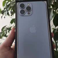 13 pro max