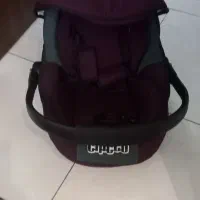 کریر دلیجان