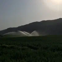 فروش زمین کشاورزی روستای خیراباد