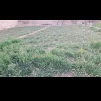 زمین-سعید-آباد-تفت