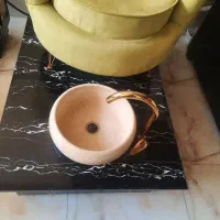 شیر و حوضچه