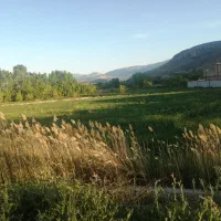 زمین زراعی در روستای رند