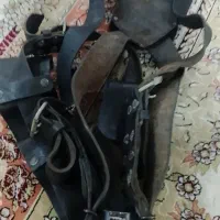 هیکلی علامت کشی