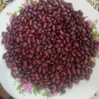 لوبیا قرمز رقم یاقوت
