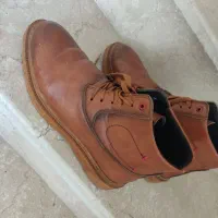 کفش نونو