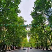 فروش-زمین-دونبش