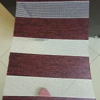 زبرا در رنگ های متنوع