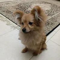 بتسی خانوم مهربون و دوست داشتنی