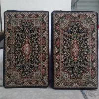 دو جفت پشتی