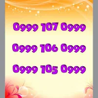 0999-105-0999