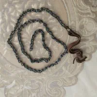 زنجیر اسب