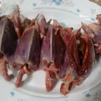 گوشت کبوتر