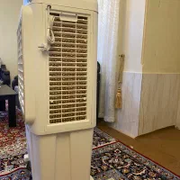 کولرابی ایستاده