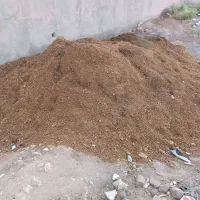 کود حیوانی