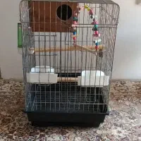 قفس پرنده