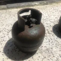پیکنیک سالم