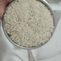 برنج صدری زرد دم