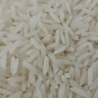 هاشمی دم سیاه