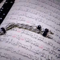 سرکتاب