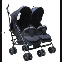 کالسکه دوقلو دلیجان