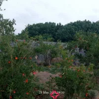باغ-سرسبز-و-دیوارکشی-خارج-از-تهران