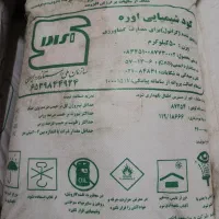 کودسفید درشت