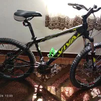 دوچرخه ویوا مدل دیتو